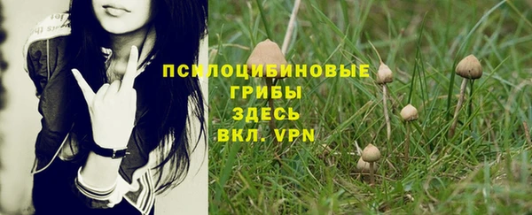кокаин колумбия Абаза